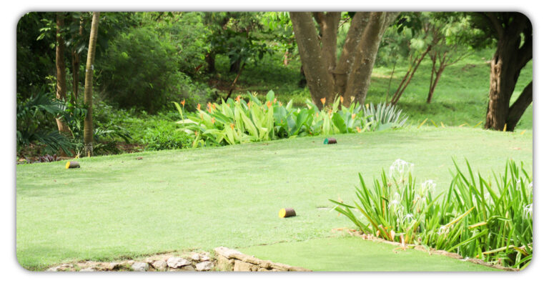 foto campo carrusel web golf-01-07